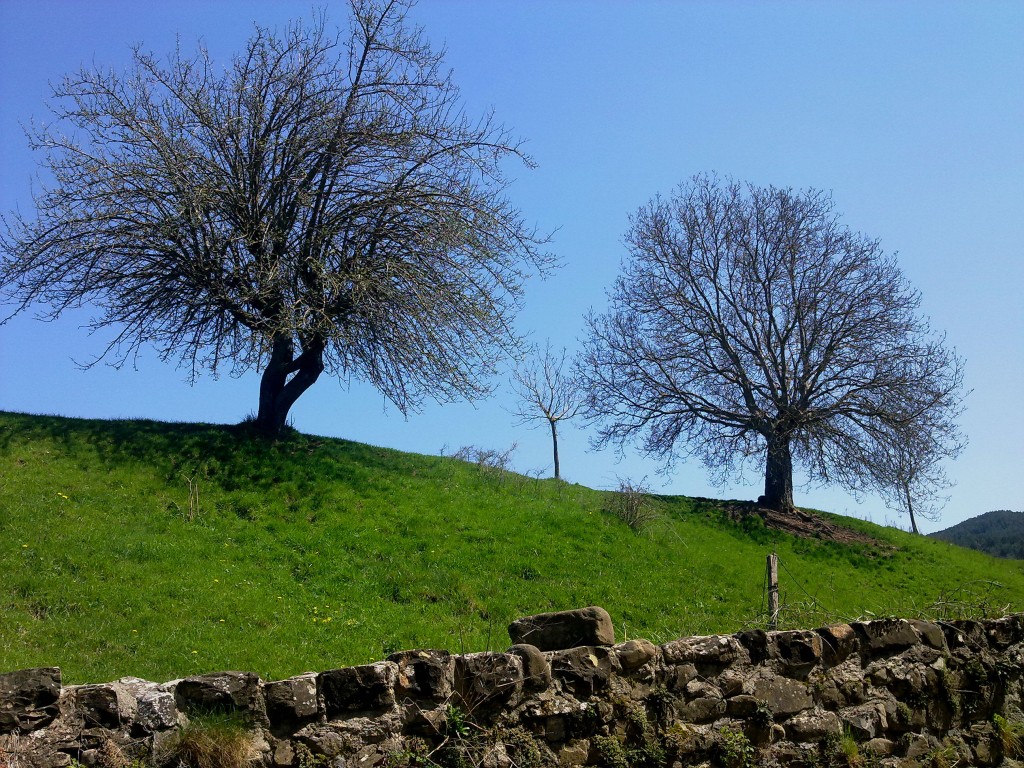 Fuen de lo molino